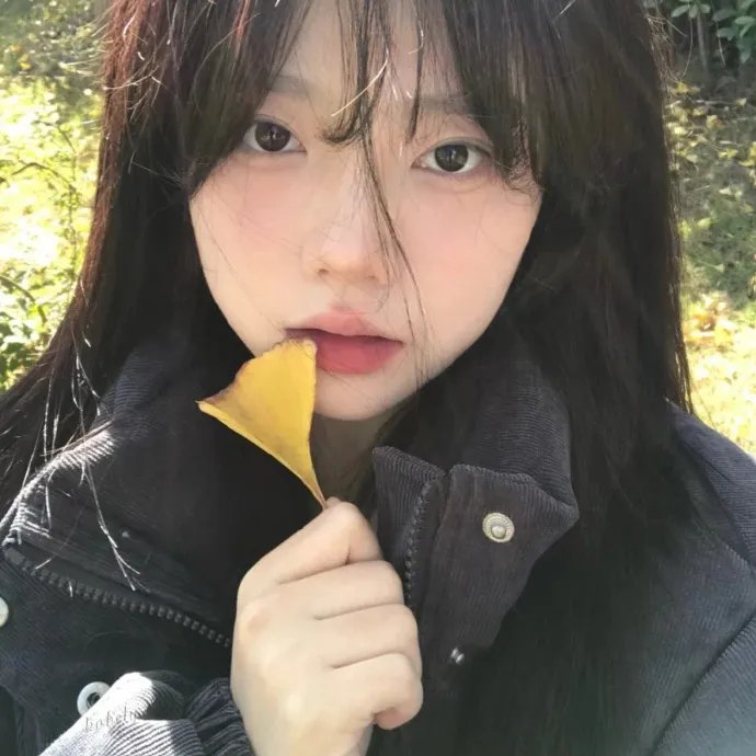 玛雅帮第五季